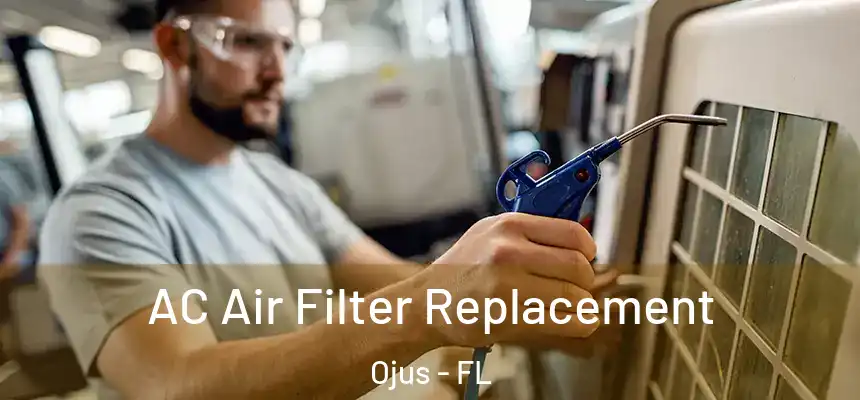 AC Air Filter Replacement Ojus - FL
