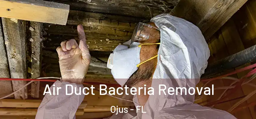  Air Duct Bacteria Removal Ojus - FL