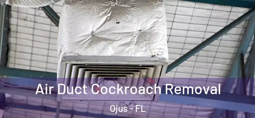  Air Duct Cockroach Removal Ojus - FL