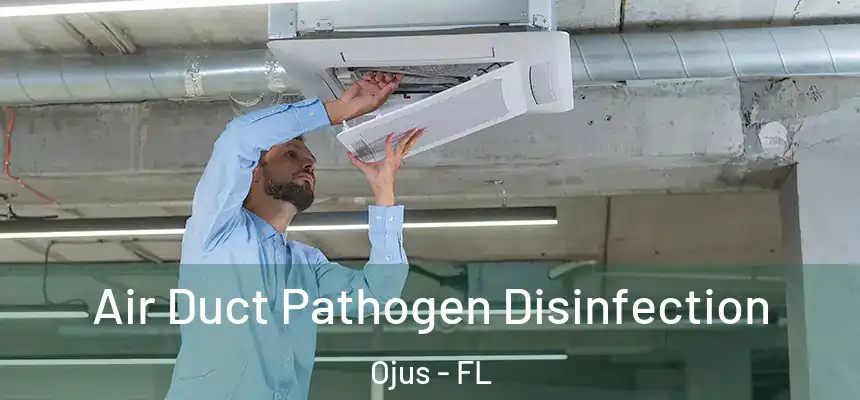 Air Duct Pathogen Disinfection Ojus - FL
