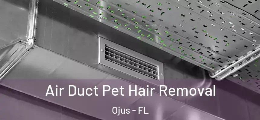 Air Duct Pet Hair Removal Ojus - FL
