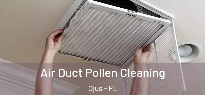  Air Duct Pollen Cleaning Ojus - FL