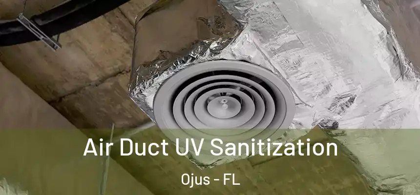 Air Duct UV Sanitization Ojus - FL