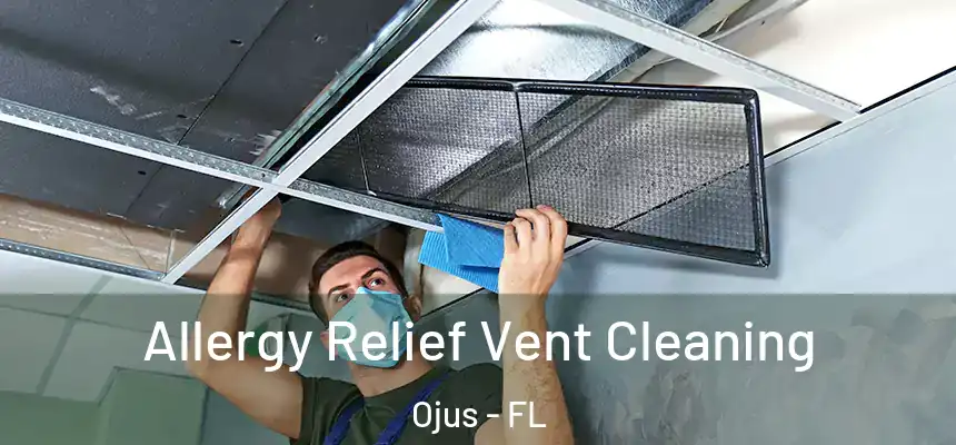 Allergy Relief Vent Cleaning Ojus - FL