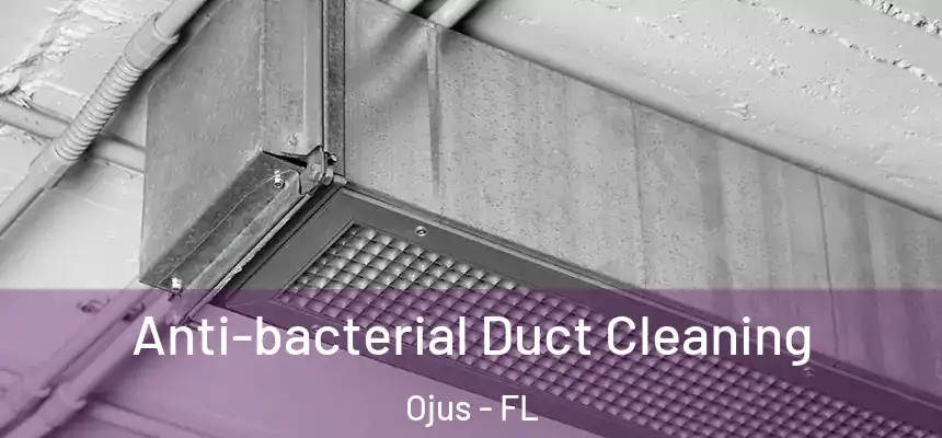 Anti-bacterial Duct Cleaning Ojus - FL