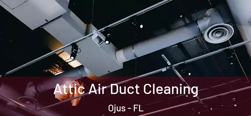 Attic Air Duct Cleaning Ojus - FL