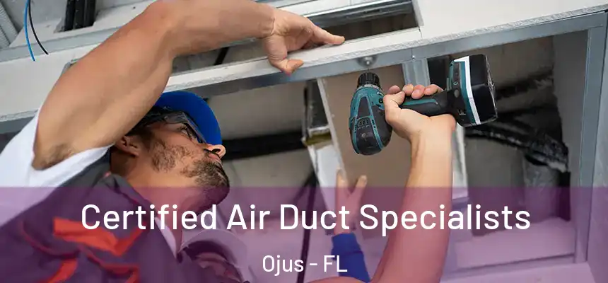  Certified Air Duct Specialists Ojus - FL