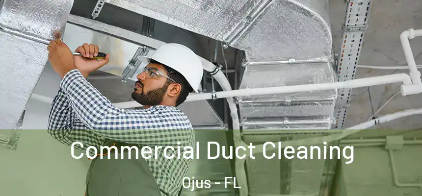 Commercial Duct Cleaning Ojus - FL