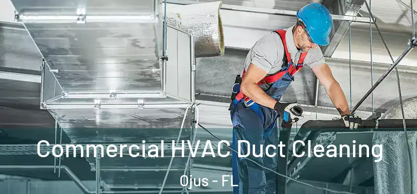 Commercial HVAC Duct Cleaning Ojus - FL