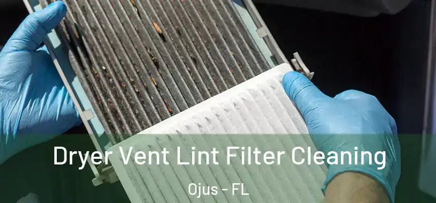 Dryer Vent Lint Filter Cleaning Ojus - FL