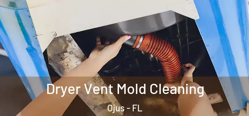 Dryer Vent Mold Cleaning Ojus - FL