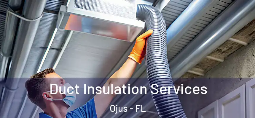 Duct Insulation Services Ojus - FL