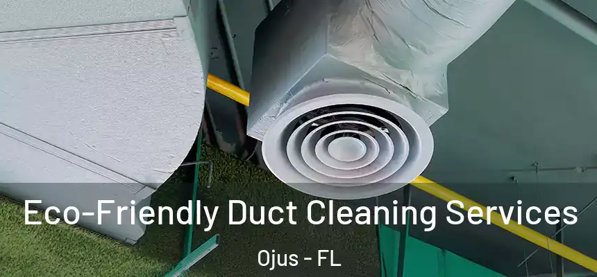  Eco-Friendly Duct Cleaning Services Ojus - FL