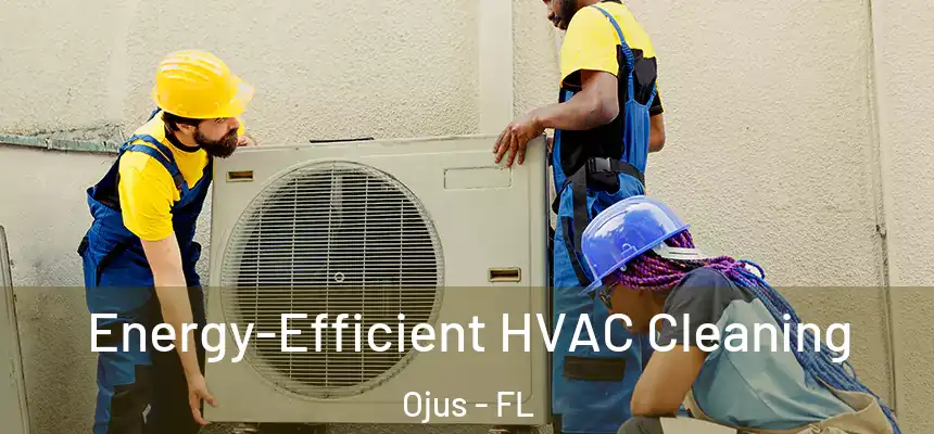 Energy-Efficient HVAC Cleaning Ojus - FL