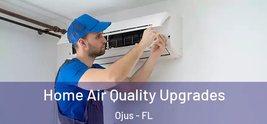 Home Air Quality Upgrades Ojus - FL