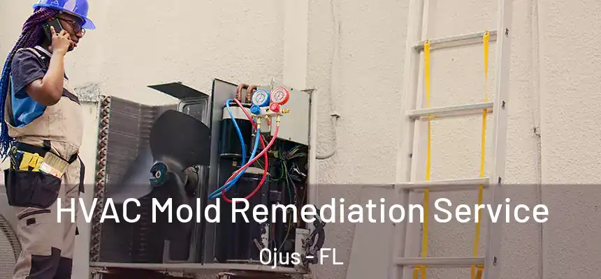 HVAC Mold Remediation Service Ojus - FL