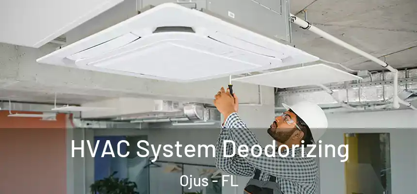 HVAC System Deodorizing Ojus - FL