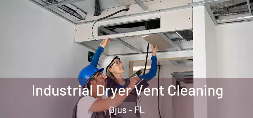 Industrial Dryer Vent Cleaning Ojus - FL