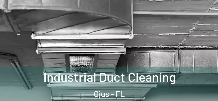 Industrial Duct Cleaning Ojus - FL