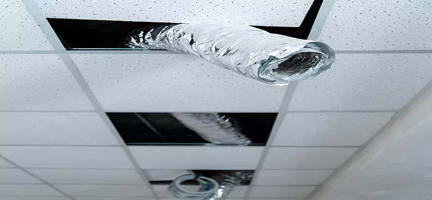 Our Air Duct Pet Hair Removal Services in Ojus, FL