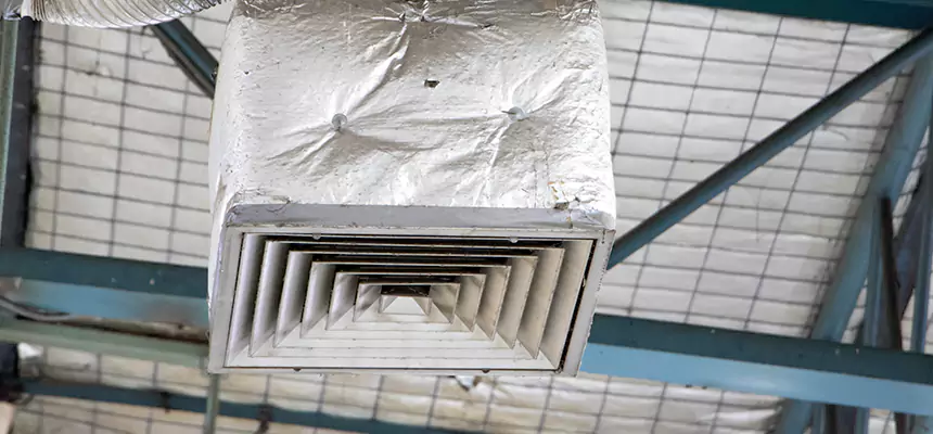 Our HVAC Mold Remediation Service Services in Ojus, FL