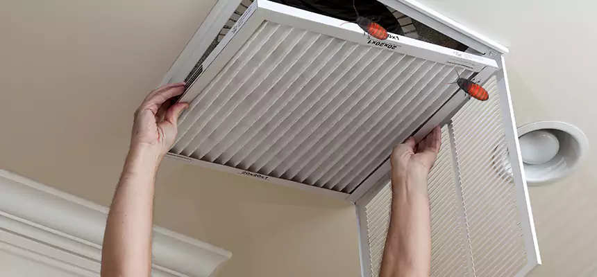 Our Insect Removal from Air Ducts Services in Ojus, FL