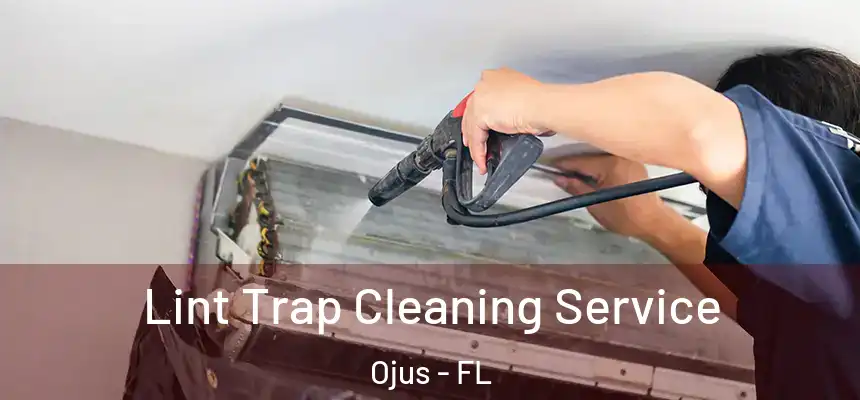 Lint Trap Cleaning Service Ojus - FL