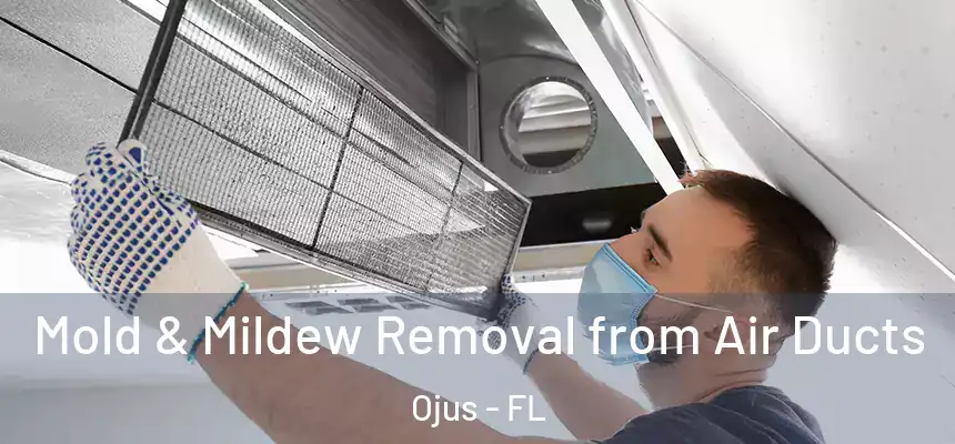 Mold & Mildew Removal from Air Ducts Ojus - FL