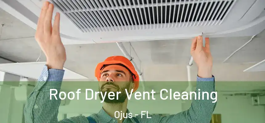  Roof Dryer Vent Cleaning Ojus - FL