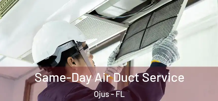 Same-Day Air Duct Service Ojus - FL