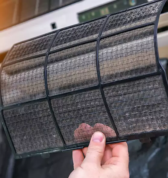 About Pet Dander Duct Cleaning in Ojus, FL
