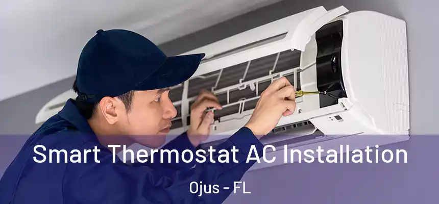 Smart Thermostat AC Installation Ojus - FL
