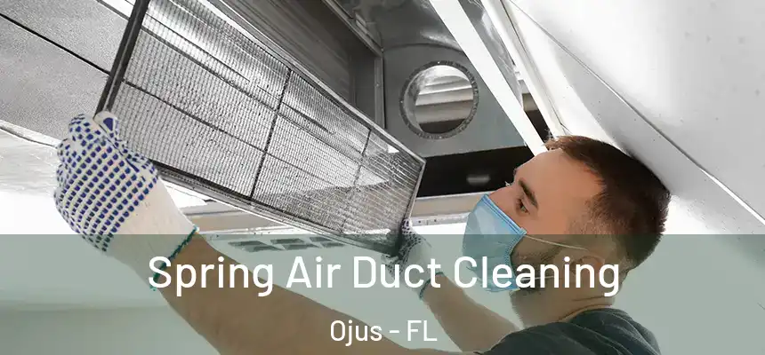 Spring Air Duct Cleaning Ojus - FL